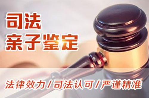 广元司法DNA亲子鉴定如何收费,广元司法DNA鉴定需要如何做